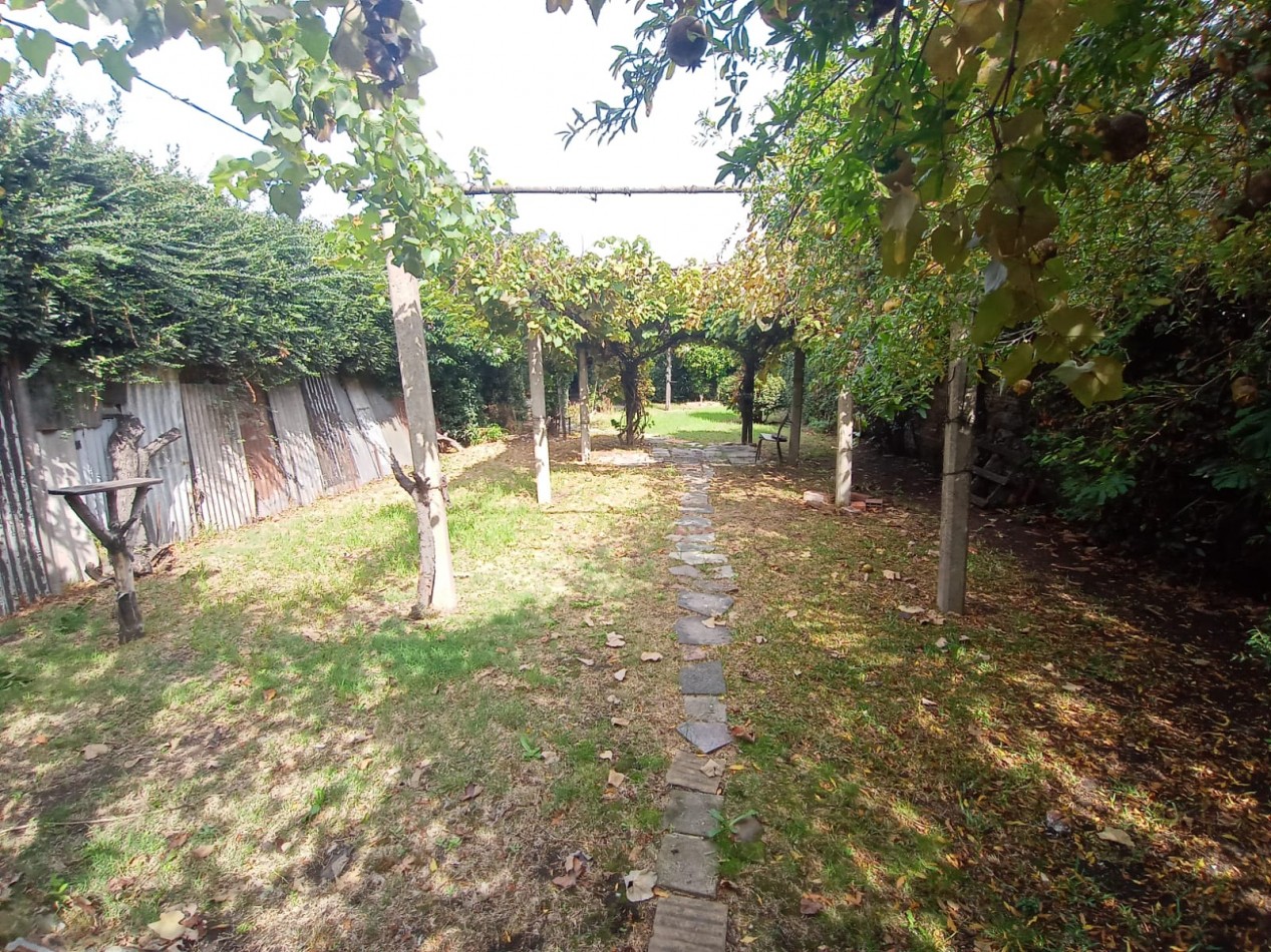 Casa 3 ambientes Lote 8.66x49