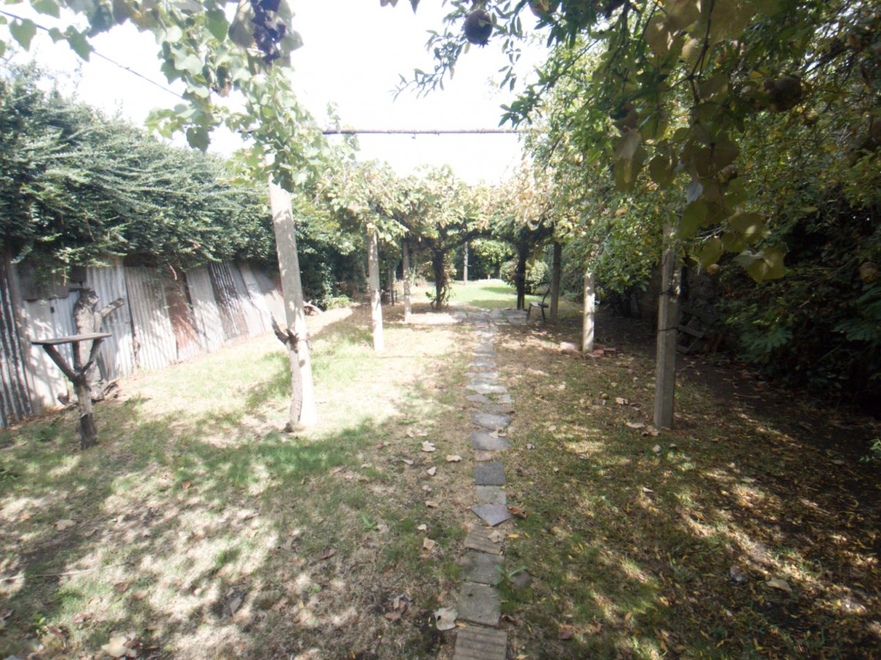 Casa 3 ambientes Lote 8.66x49
