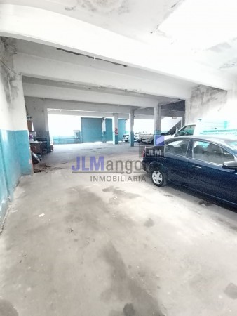 Galpon 500 m2 + 2 Deptos 4 ambientes